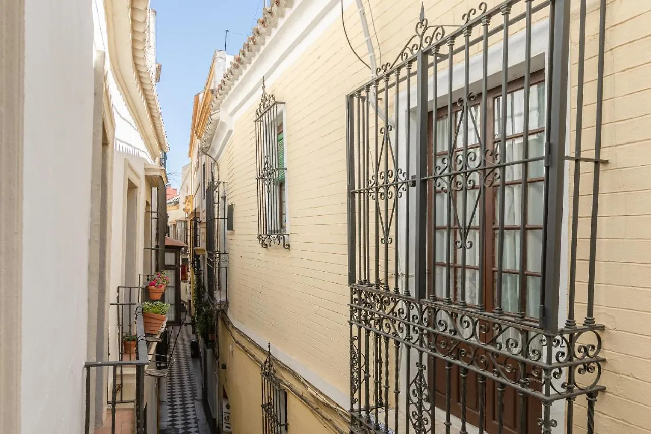 Nuea Casa17 Hotel Seville 0*,  Spain